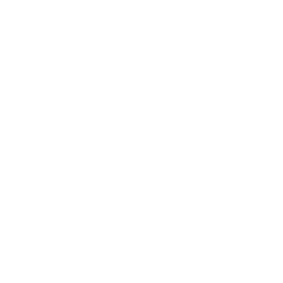 Wir übernehmen die fachgerechte Verpackung und die Sicherung der Transportgüter.